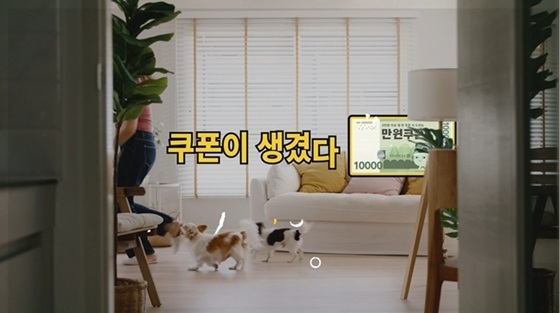 공공배달앱 먹깨비, 전국 단위 마케팅 본격 돌입