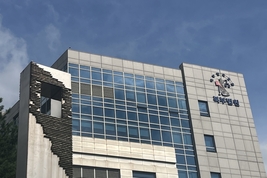 SK 최태원 회장 유언비어 유포 유튜버 징역형 집행유예