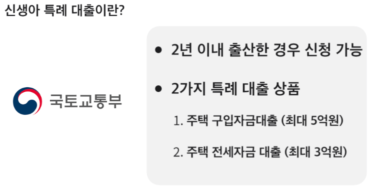 신생아 특례 대출이 빠른 속도로 자리매김 하고 있다. (사진=국토교통부)