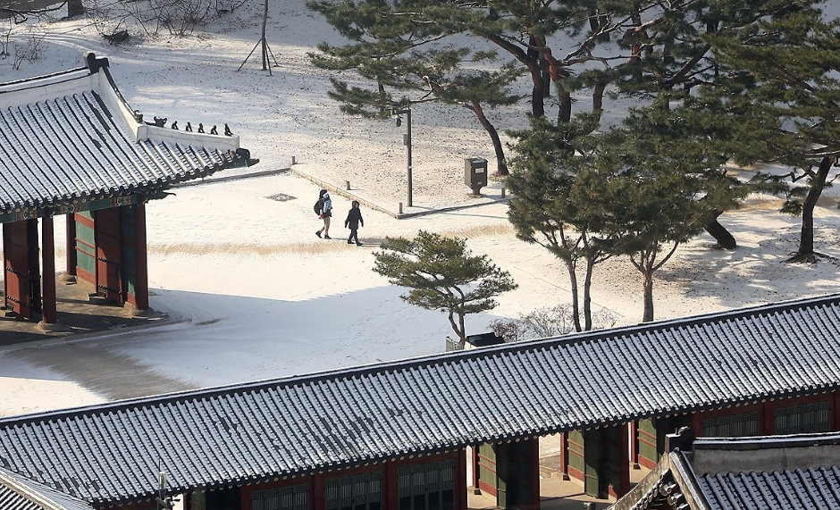 오는 22일부터 28일까지 덕수궁 주요 전각 내부를 관람하며 살구꽃을 감상할 수 있는 특별해설 프로그램이 운영된다. (사진=연합뉴스)